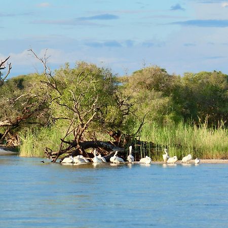 リビングストン Zambezi Duskヴィラ エクステリア 写真
